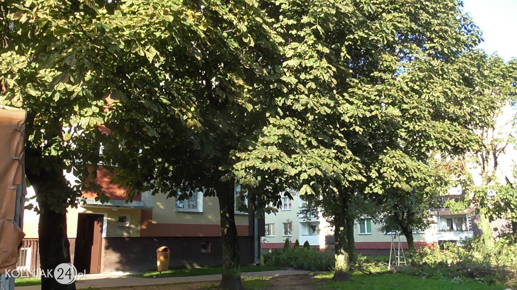 Powstają nowe miejsca parkingowe