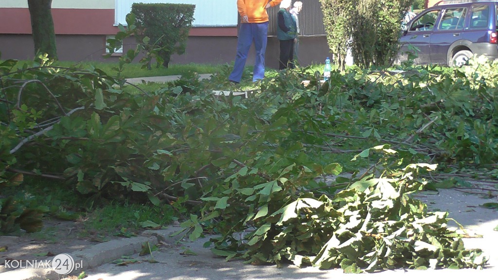 Powstają nowe miejsca parkingowe