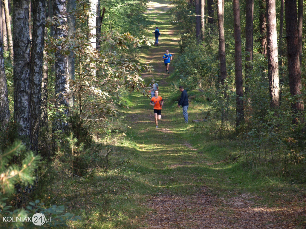 Igrzyska Dzieci i Igrzyska Młodzieży