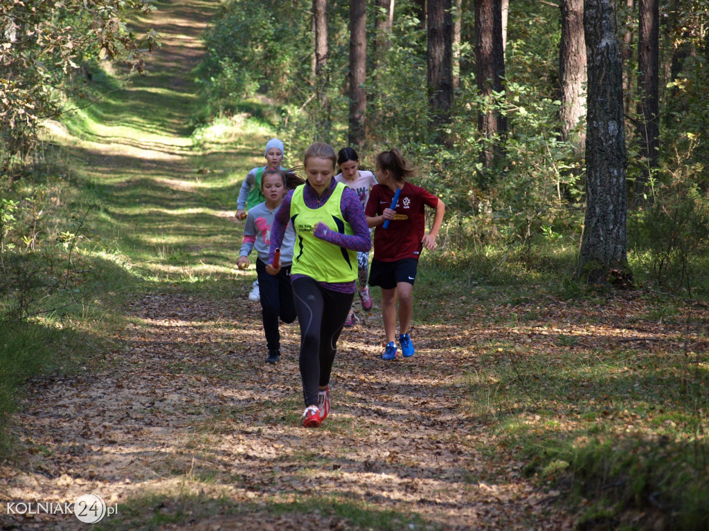 Igrzyska Dzieci i Igrzyska Młodzieży