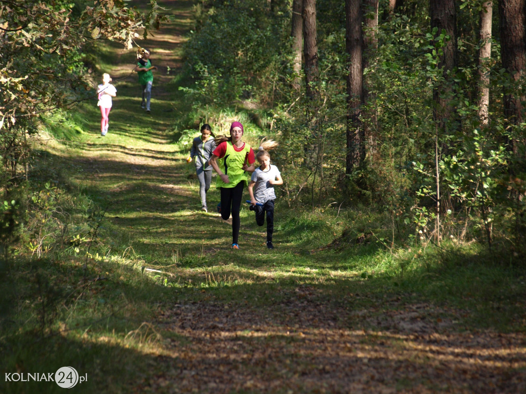 Igrzyska Dzieci i Igrzyska Młodzieży
