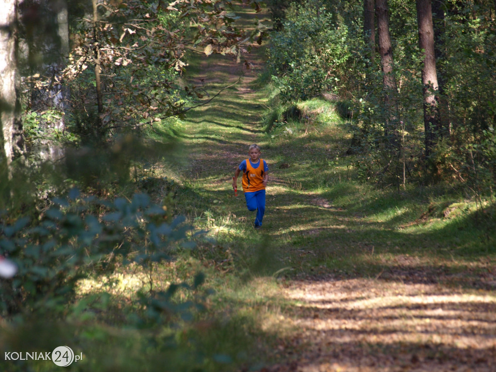 Igrzyska Dzieci i Igrzyska Młodzieży