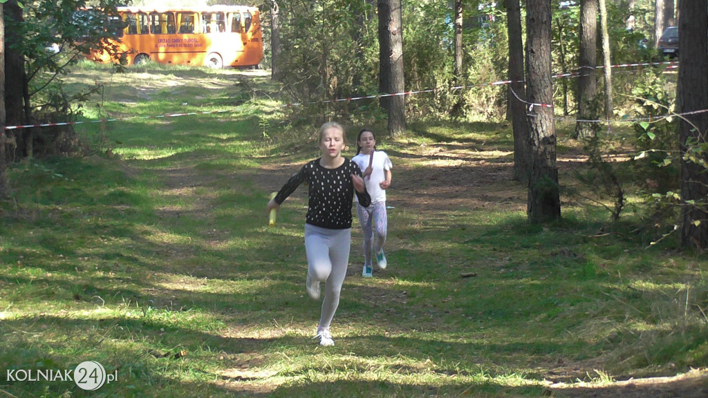 Igrzyska Dzieci i Igrzyska Młodzieży