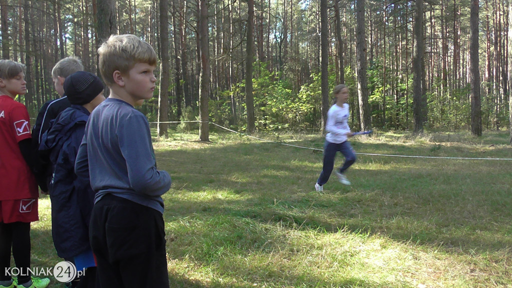 Igrzyska Dzieci i Igrzyska Młodzieży