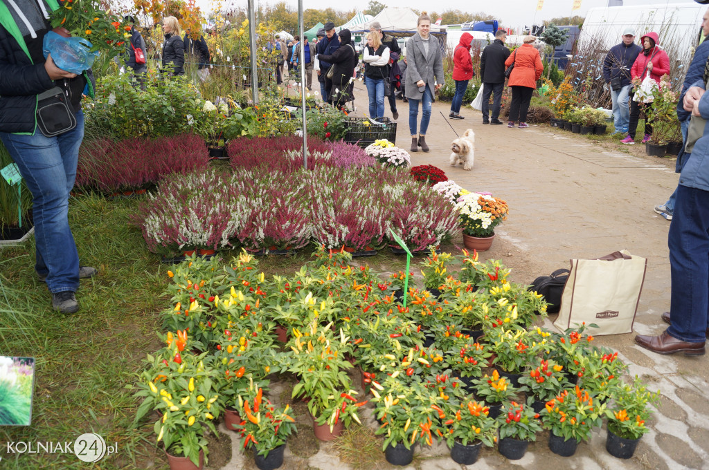Jesienne targi w PODR Szepietowo
