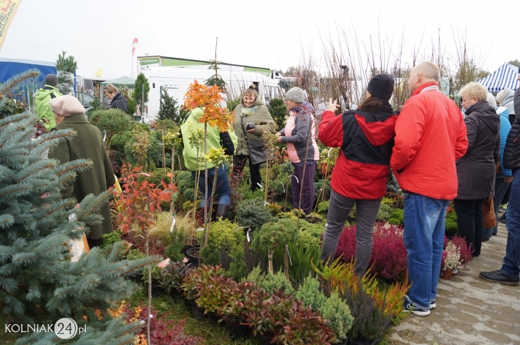 Jesienne targi w PODR Szepietowo