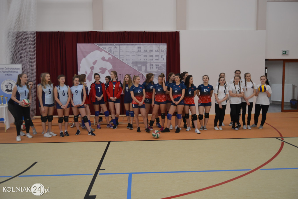 Turniej siatkowy dziewcząt o puchar dyrektora