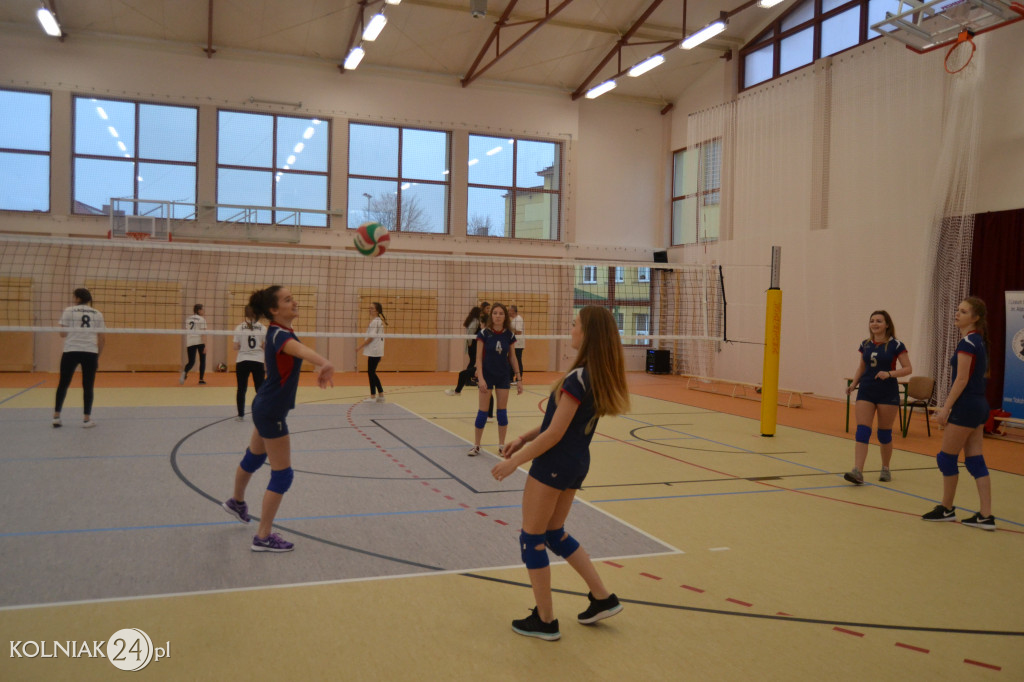 Turniej siatkowy dziewcząt o puchar dyrektora