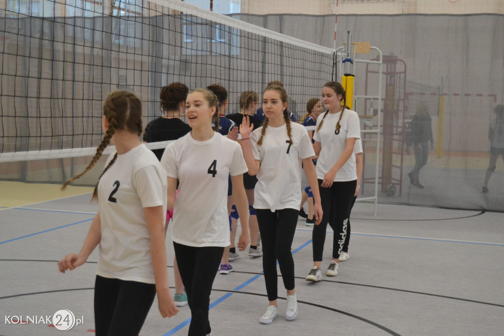 Turniej siatkowy dziewcząt o puchar dyrektora