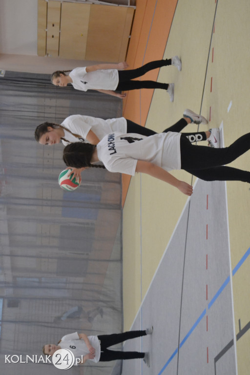 Turniej siatkowy dziewcząt o puchar dyrektora