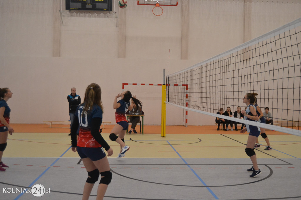 Turniej siatkowy dziewcząt o puchar dyrektora