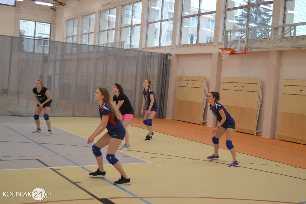 Turniej siatkowy dziewcząt o puchar dyrektora