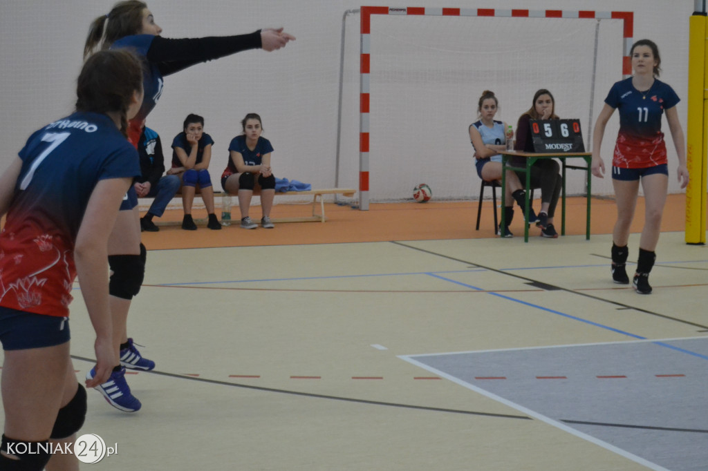 Turniej siatkowy dziewcząt o puchar dyrektora