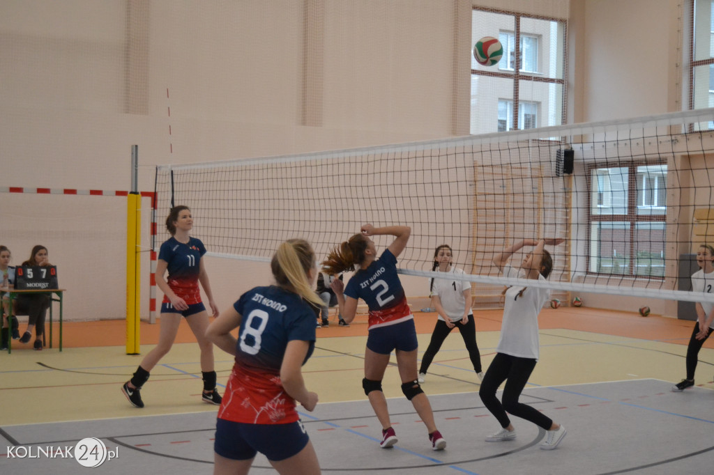 Turniej siatkowy dziewcząt o puchar dyrektora