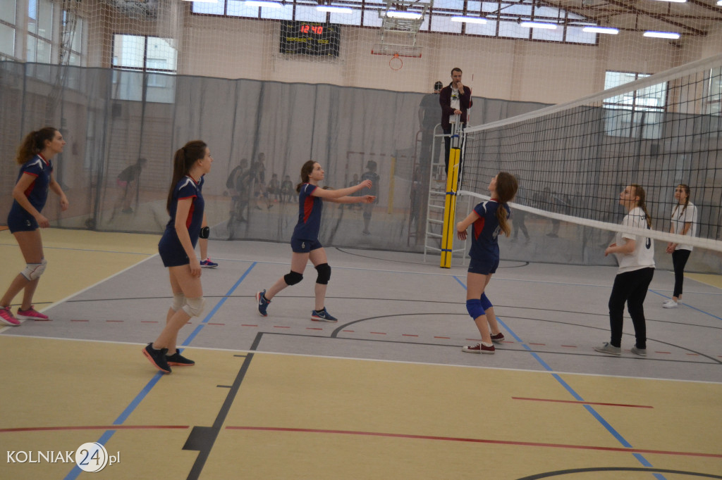 Turniej siatkowy dziewcząt o puchar dyrektora