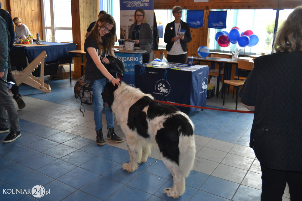 IX Kolneńskie Targi Edukacji i Pracy