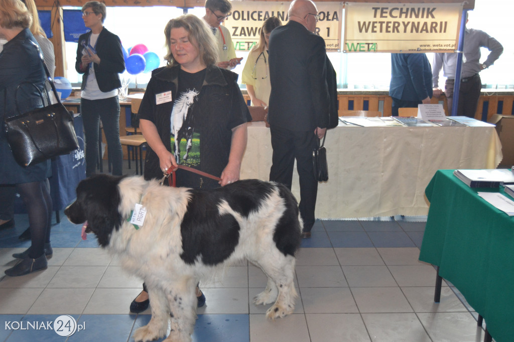 IX Kolneńskie Targi Edukacji i Pracy
