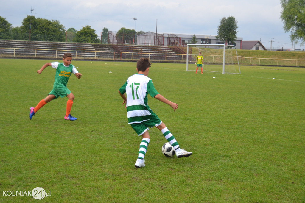 Przewaga Orła w tym spotkaniu nie podlegała dyskusji