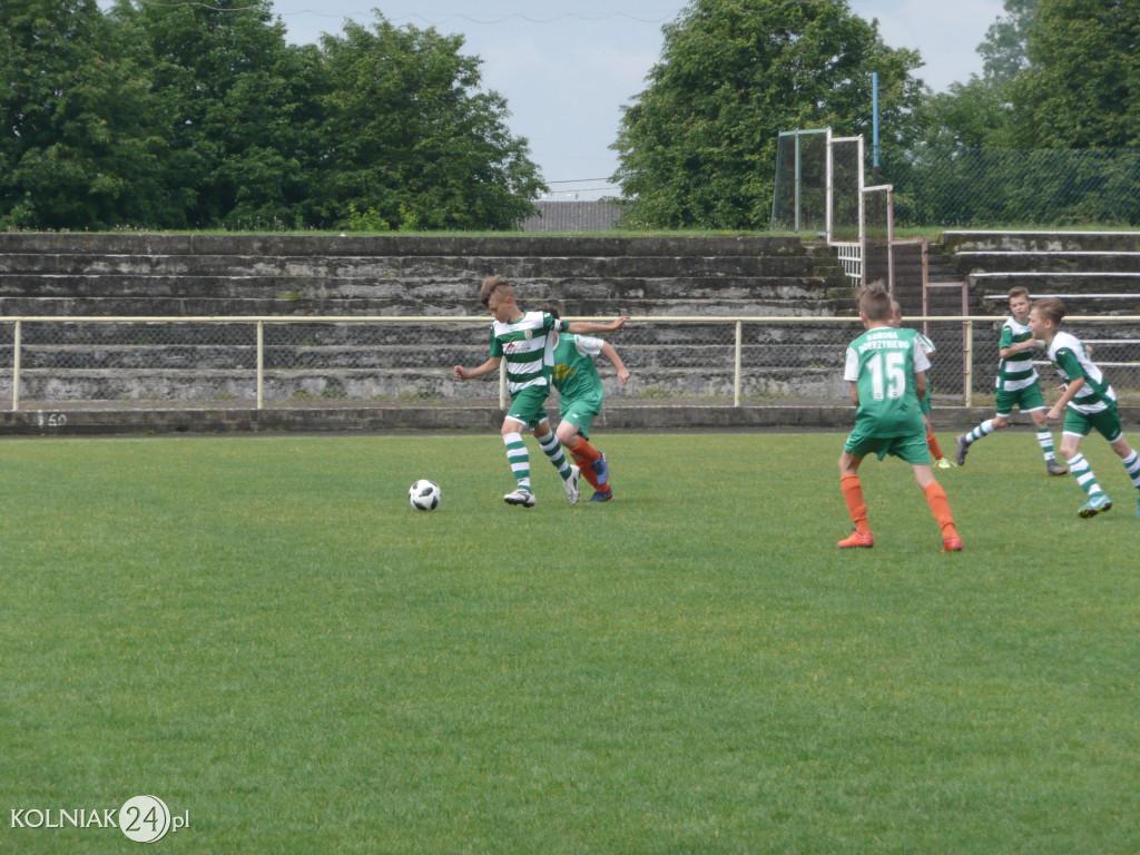Przewaga Orła w tym spotkaniu nie podlegała dyskusji