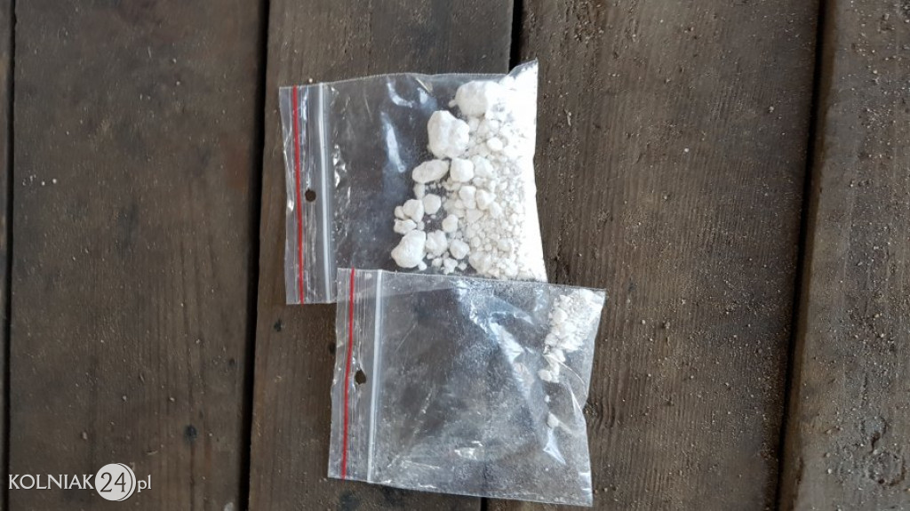 Podlascy policjanci zlikwidowali kolejne plantacje konopi
