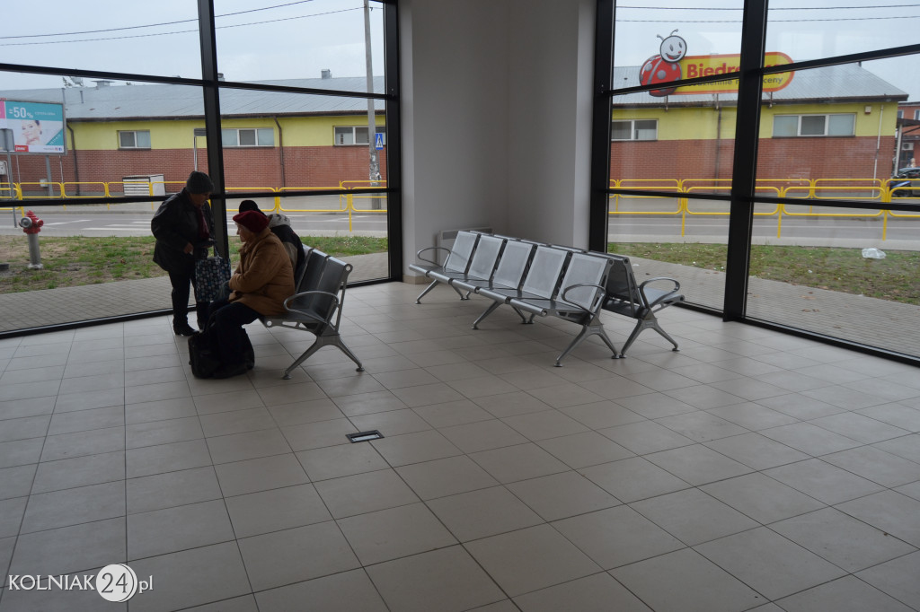 Pojawiły się pierwsze autobusy