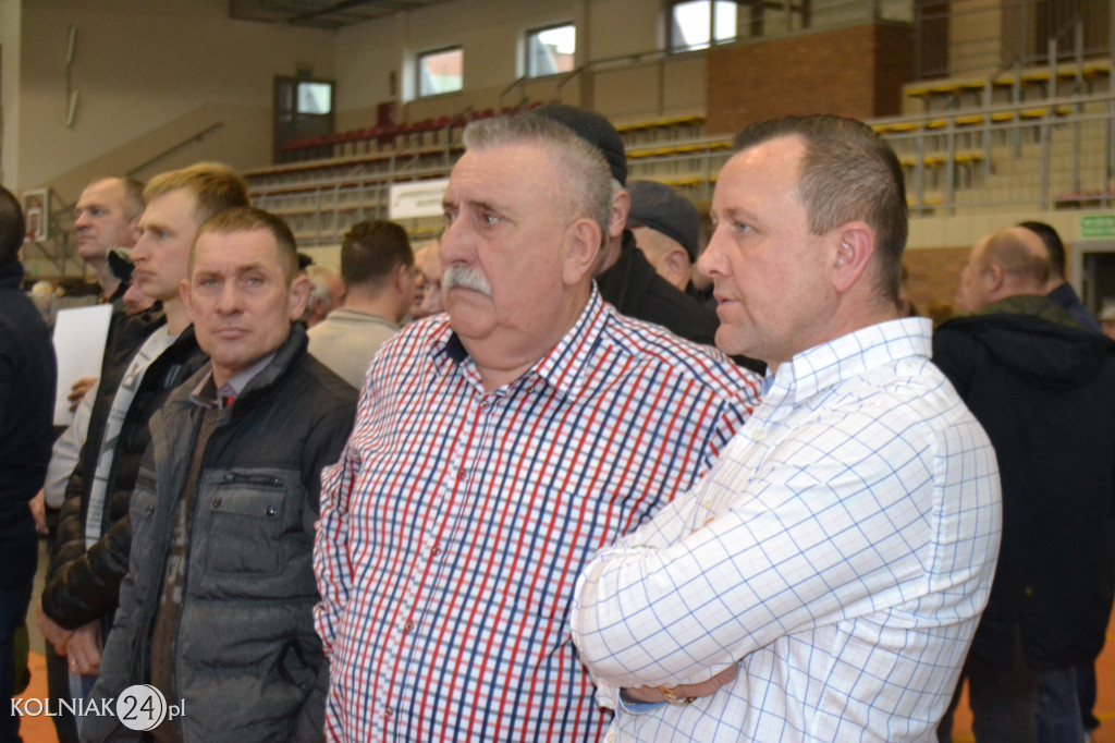 Kolno: XXXII Wystawa Gołębi Pocztowych