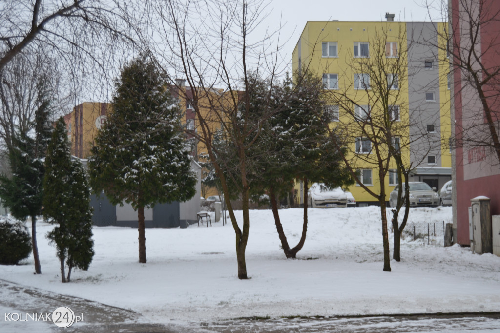 Za oknami pojawił się śnieg