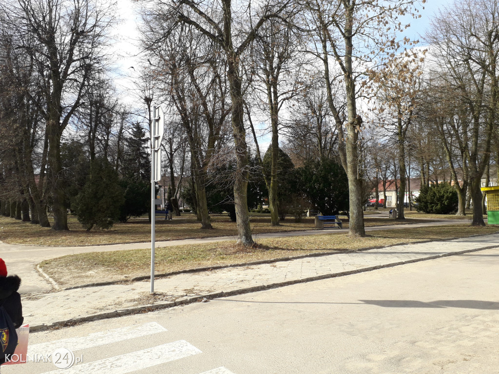Przed nami rewiatalizacja parku miejskiego?
