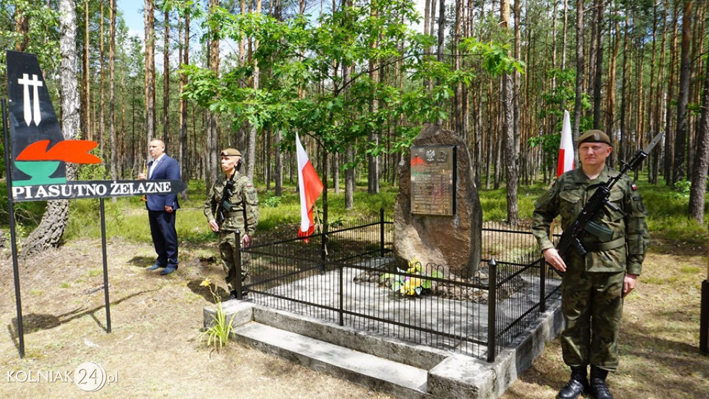 Obchody bitwy pod Piasutnem Żelaznym