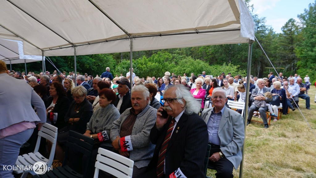 Obchody bitwy pod Piasutnem Żelaznym