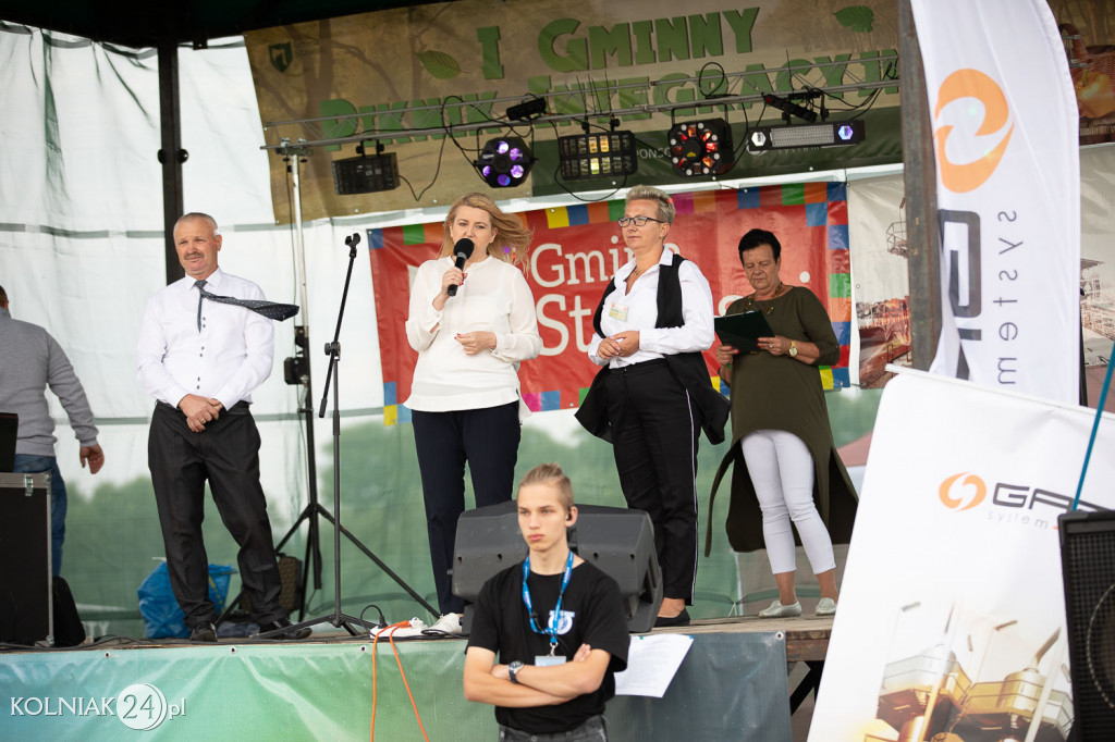 Piknik w gminie Stawiski