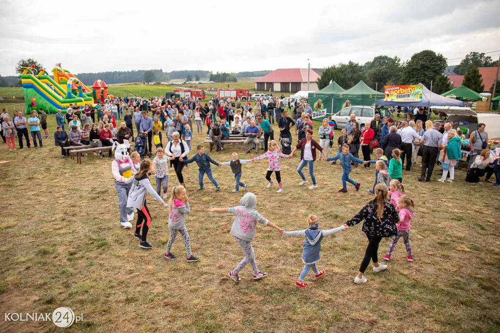 Piknik w gminie Stawiski