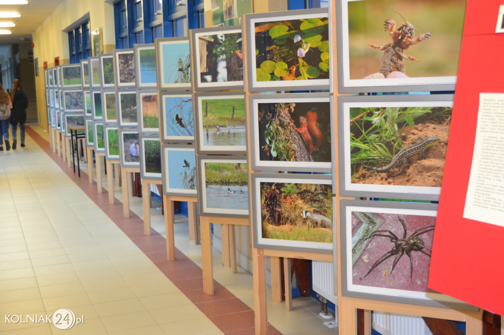 Powiatowa Noc Bibliotek