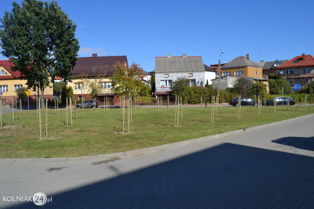 Kolno, Zakole: Ostatnio  realizowane  nasadzenia