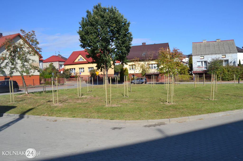 Kolno, Zakole: Ostatnio  realizowane  nasadzenia