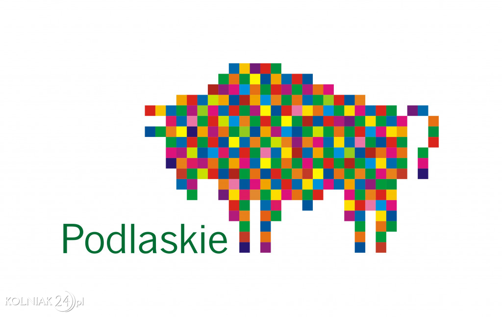 Gminny Dzień Pamięci w Turośli