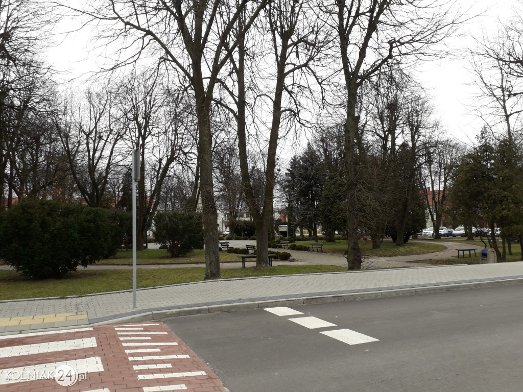Kolno: Wycinka drzew w parku
