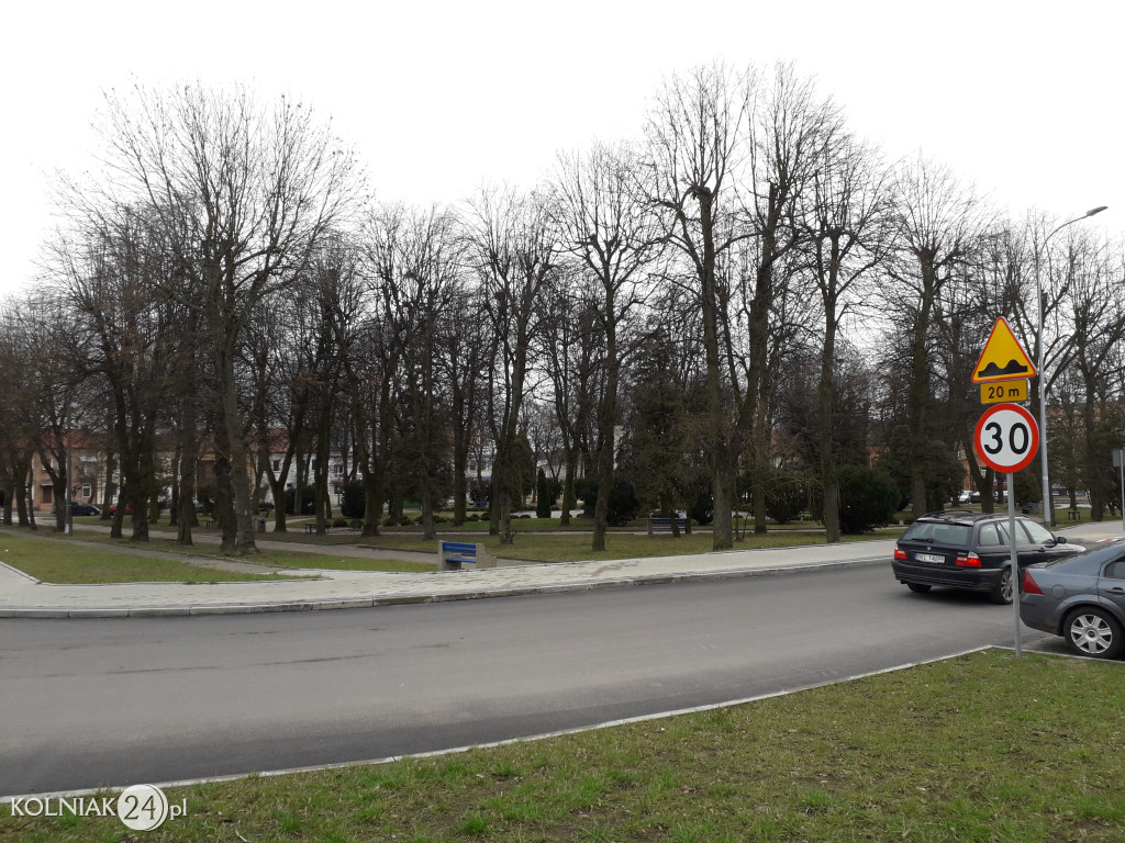 Kolno: Wycinka drzew w parku