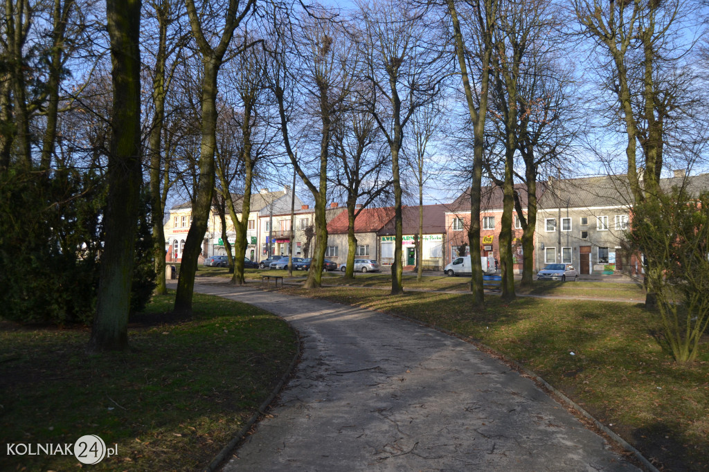 Kolno: Wycinka drzew w parku