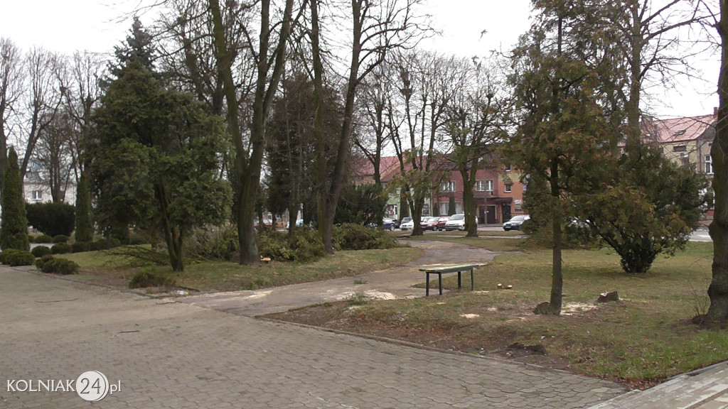 Kolno: Wycinka drzew w parku