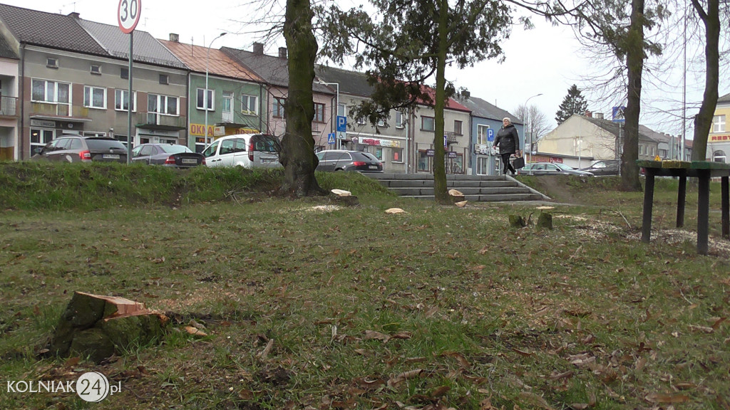 Kolno: Wycinka drzew w parku