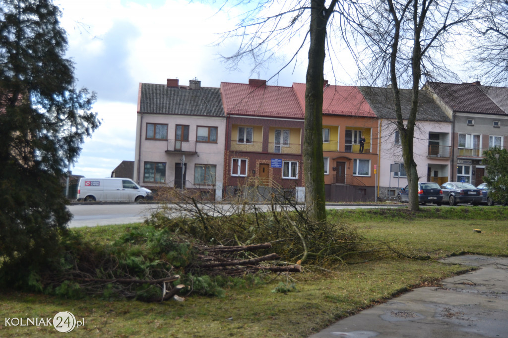 Plac Wolności w Kolnie: trwa wycinka drzew