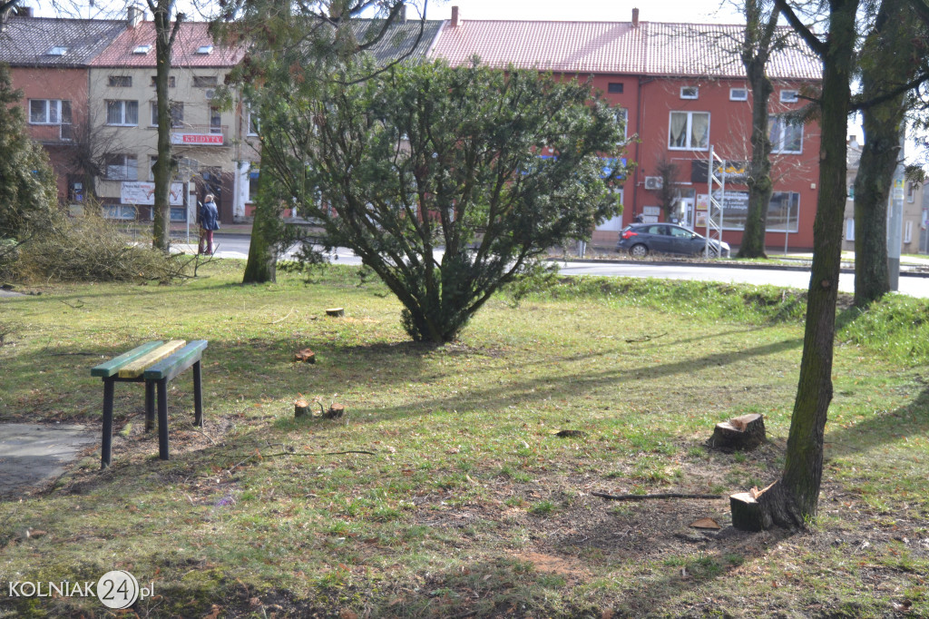Plac Wolności w Kolnie: trwa wycinka drzew