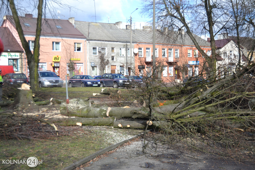 Plac Wolności w Kolnie: trwa wycinka drzew