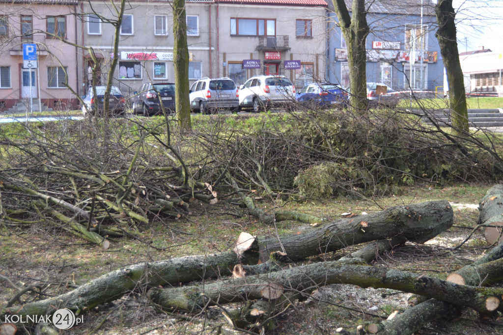 Plac Wolności w Kolnie: trwa wycinka drzew