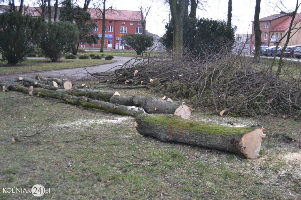 Plac Wolności w Kolnie: trwa wycinka drzew
