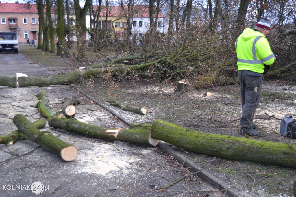 Plac Wolności w Kolnie: trwa wycinka drzew