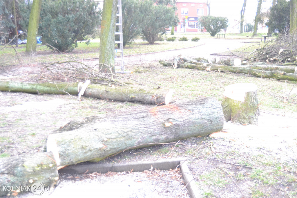 Plac Wolności w Kolnie: trwa wycinka drzew