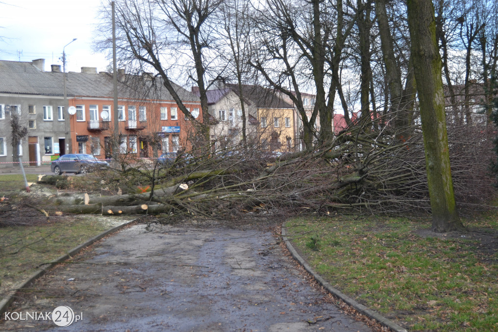 Plac Wolności w Kolnie: trwa wycinka drzew