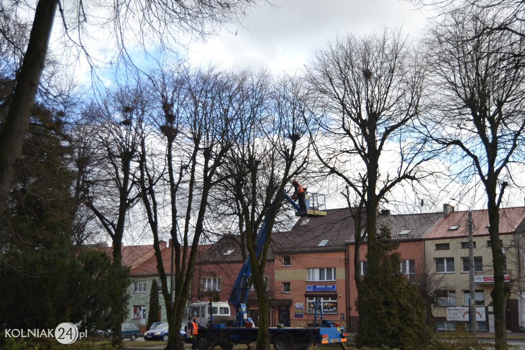 Plac Wolności w Kolnie: trwa wycinka drzew